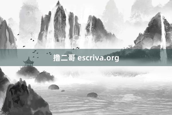 撸二哥 escriva.org