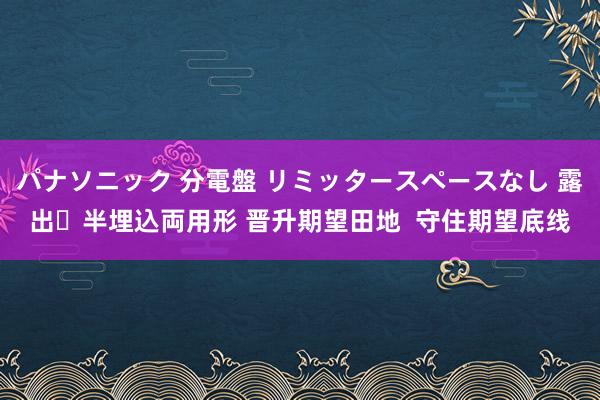 パナソニック 分電盤 リミッタースペースなし 露出・半埋込両用形 晋升期望田地  守住期望底线