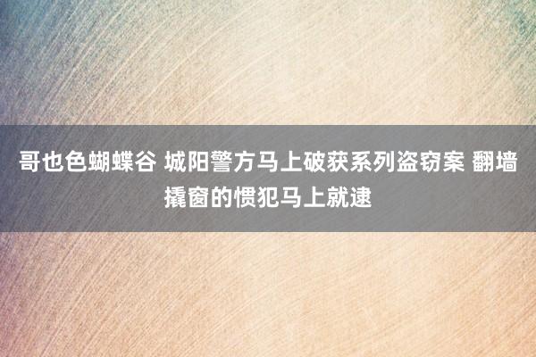 哥也色蝴蝶谷 城阳警方马上破获系列盗窃案 翻墙撬窗的惯犯马上就逮