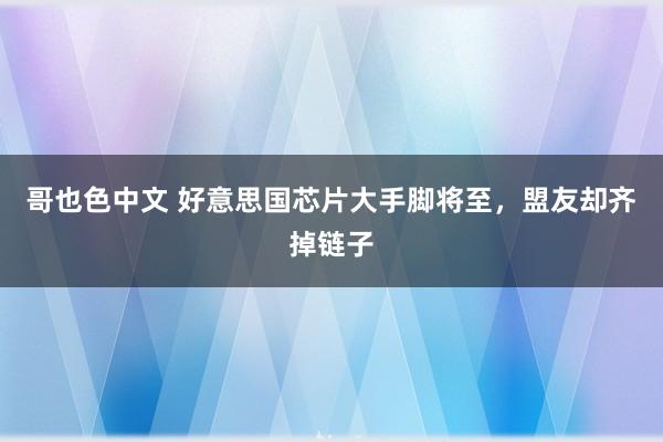 哥也色中文 好意思国芯片大手脚将至，盟友却齐掉链子