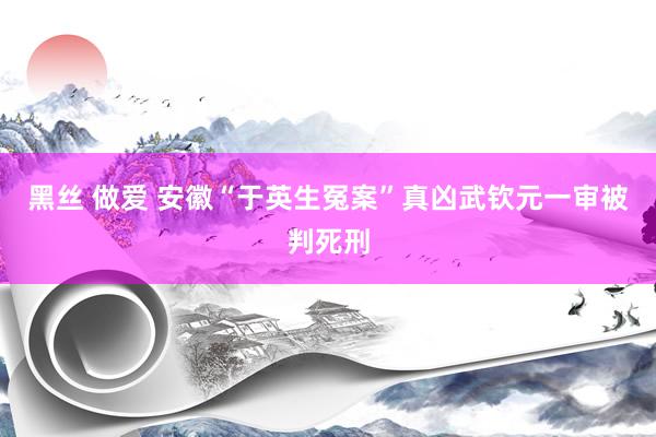 黑丝 做爱 安徽“于英生冤案”真凶武钦元一审被判死刑