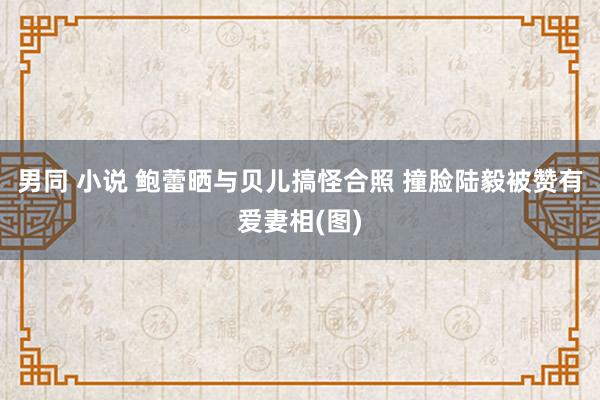 男同 小说 鲍蕾晒与贝儿搞怪合照 撞脸陆毅被赞有爱妻相(图)