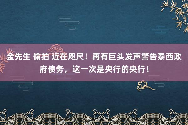 金先生 偷拍 近在咫尺！再有巨头发声警告泰西政府债务，这一次是央行的央行！